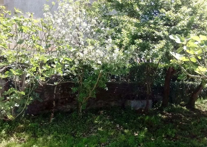 Lavin Etxea Сан-Эстебан-де-Гальдамес